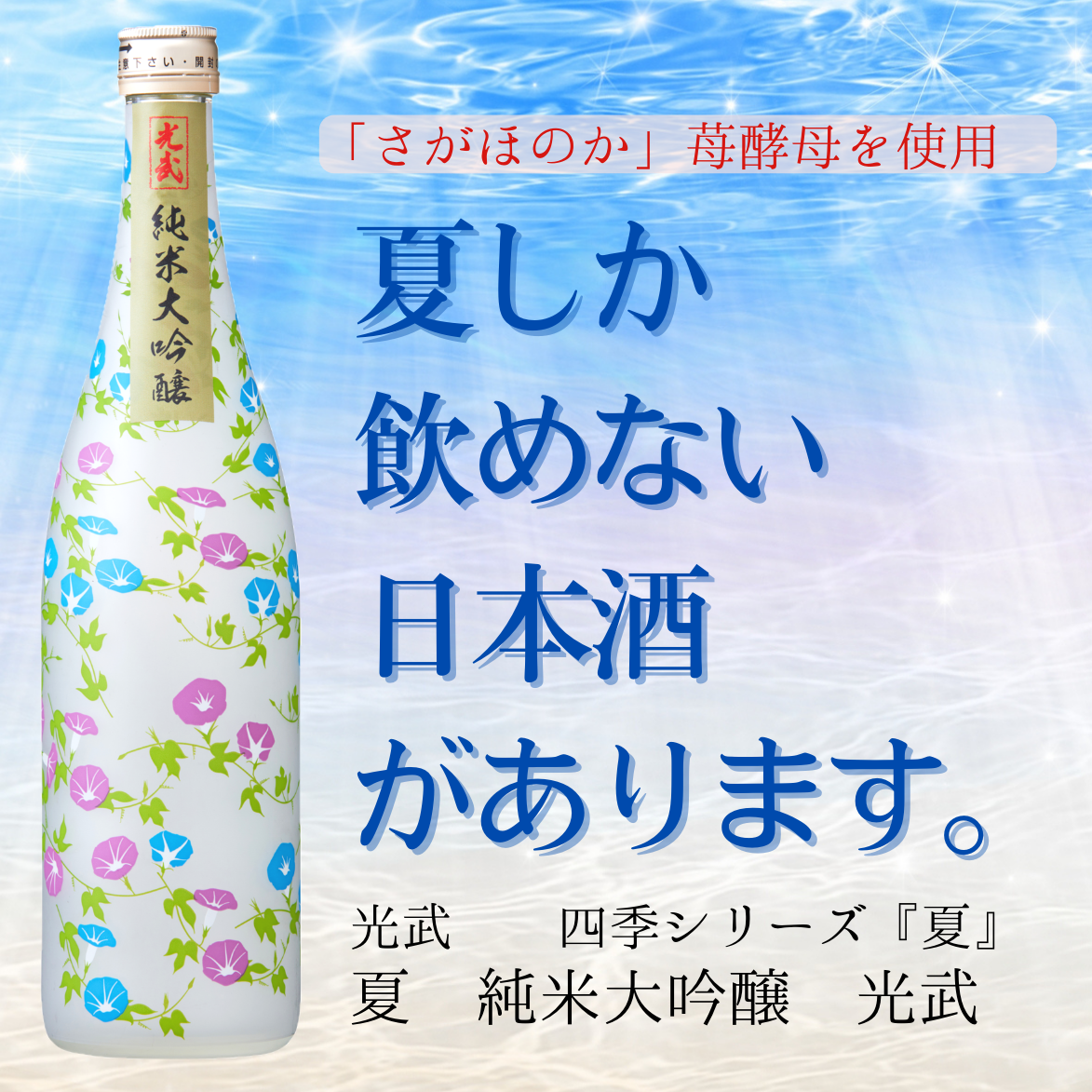 なんでも フリッパー 活性化する 日本酒 人気 大 吟醸 担保 ティッシュ 対処 なんでも フリッパー 活性化する 日本酒 人気 大 吟醸 担保 ティッシュ 対処