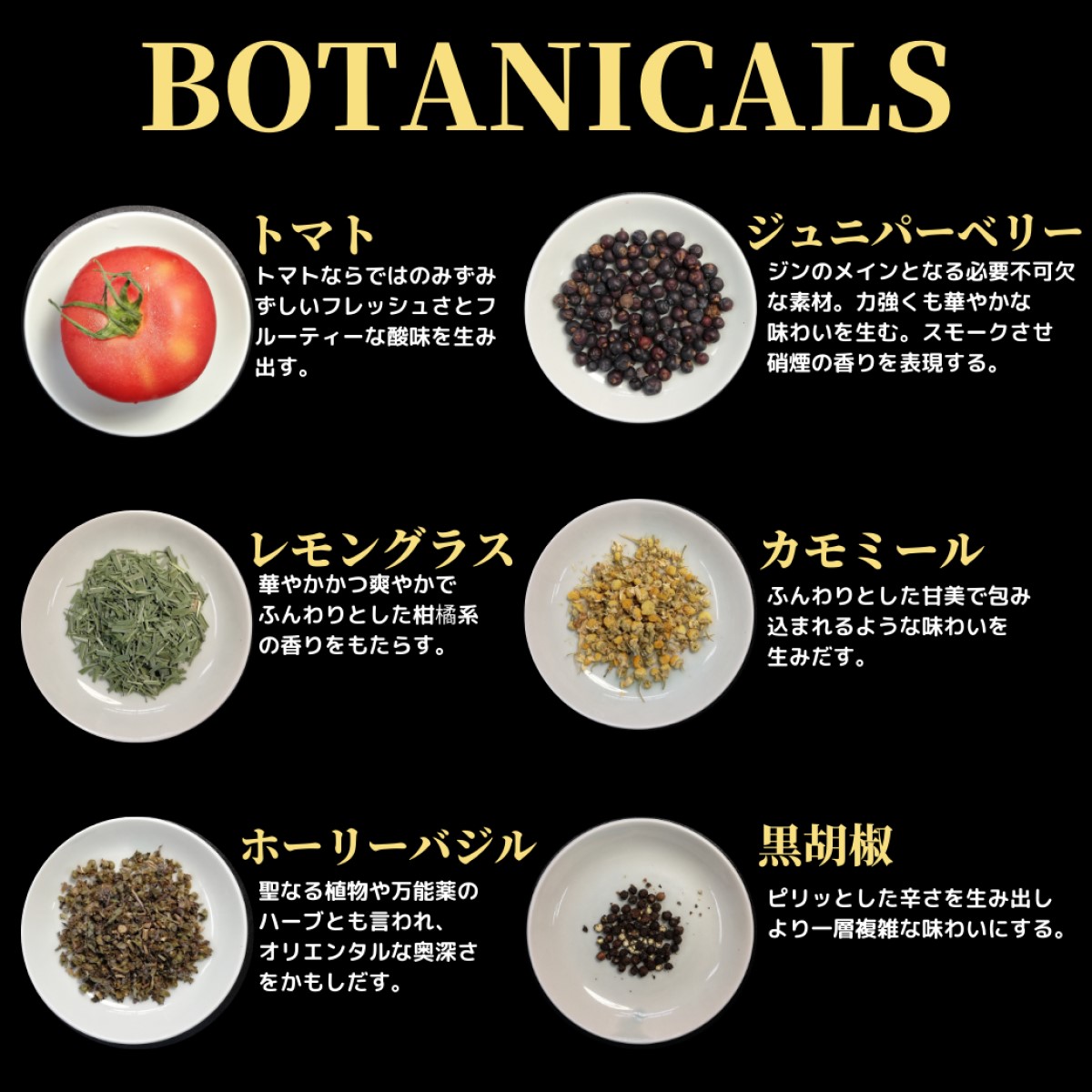 シティーハンター ブラック