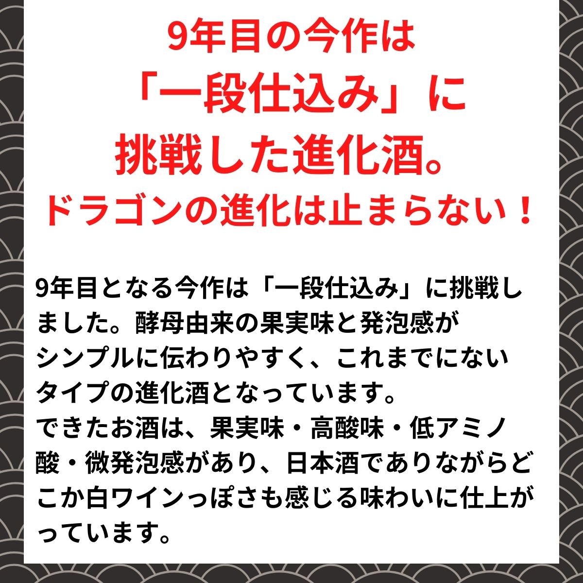 きまぐれドラゴン2024
生酒 数量限定