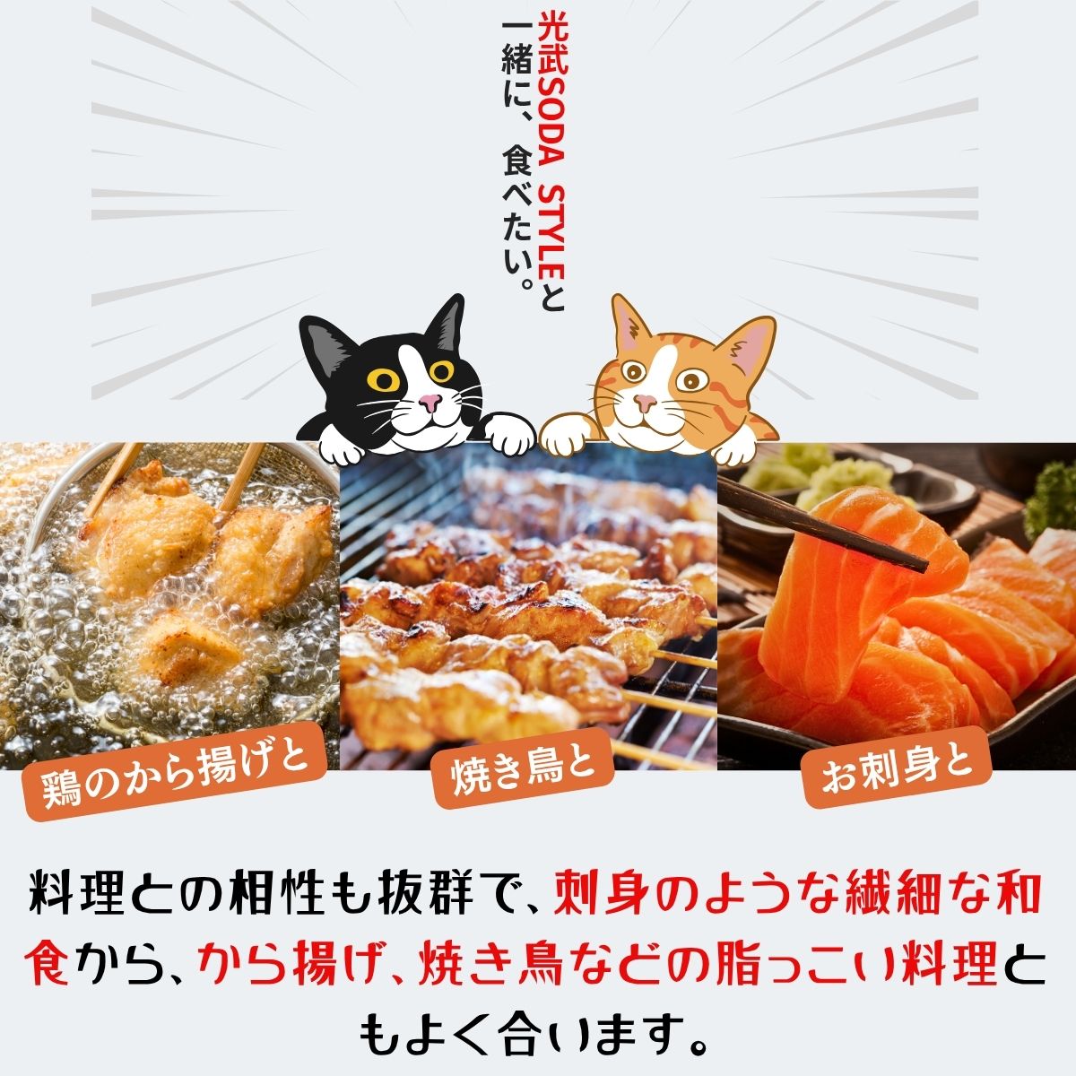 Sodastyle