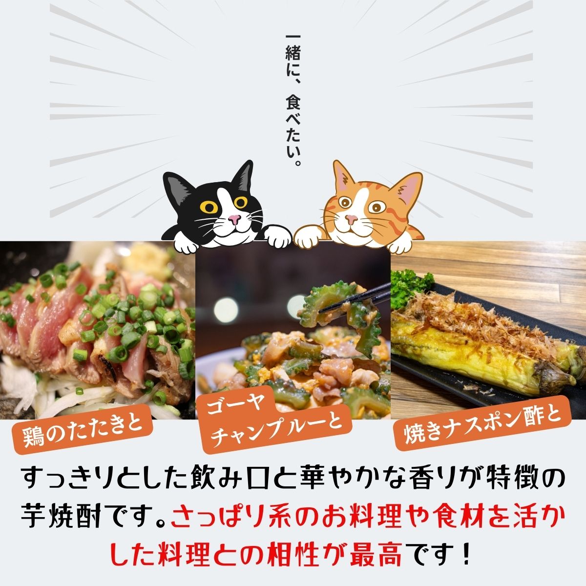 テキスト