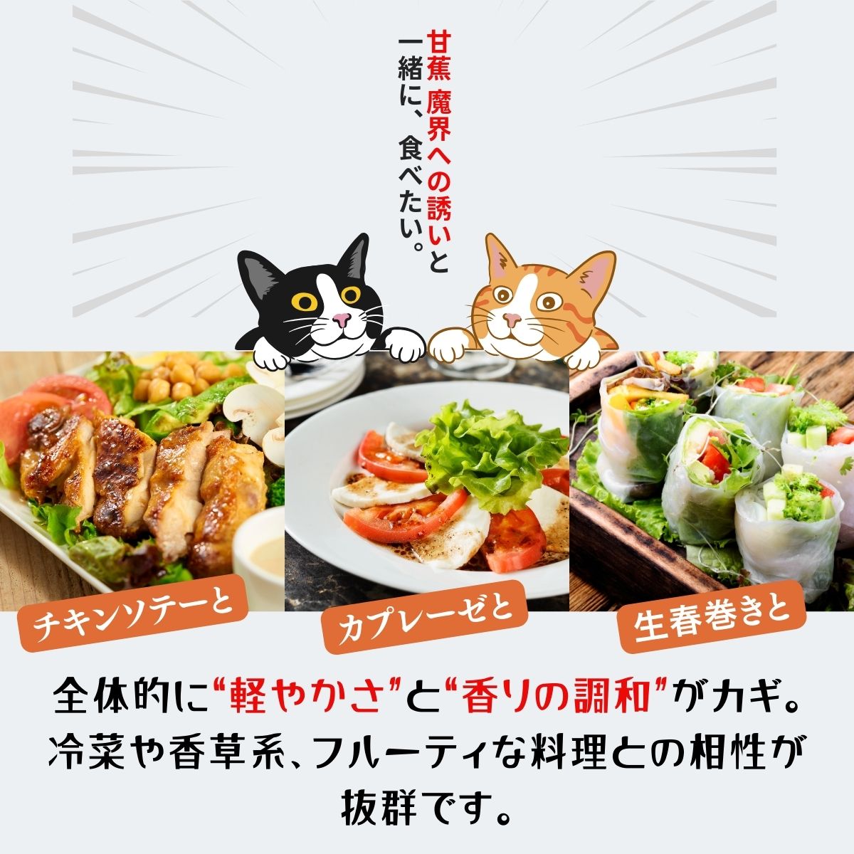 テキスト