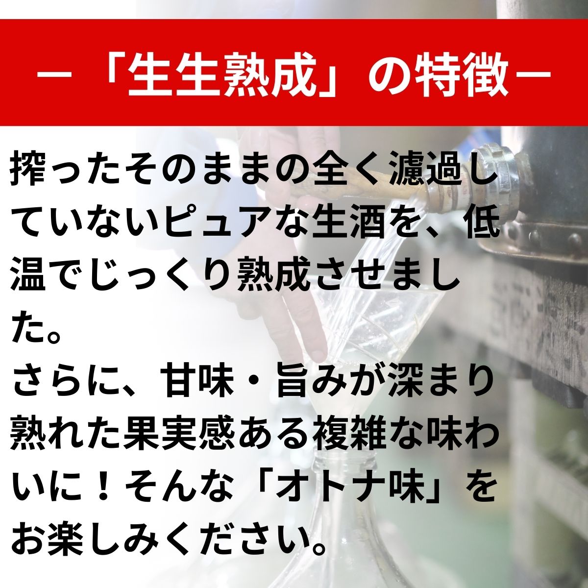 テキスト