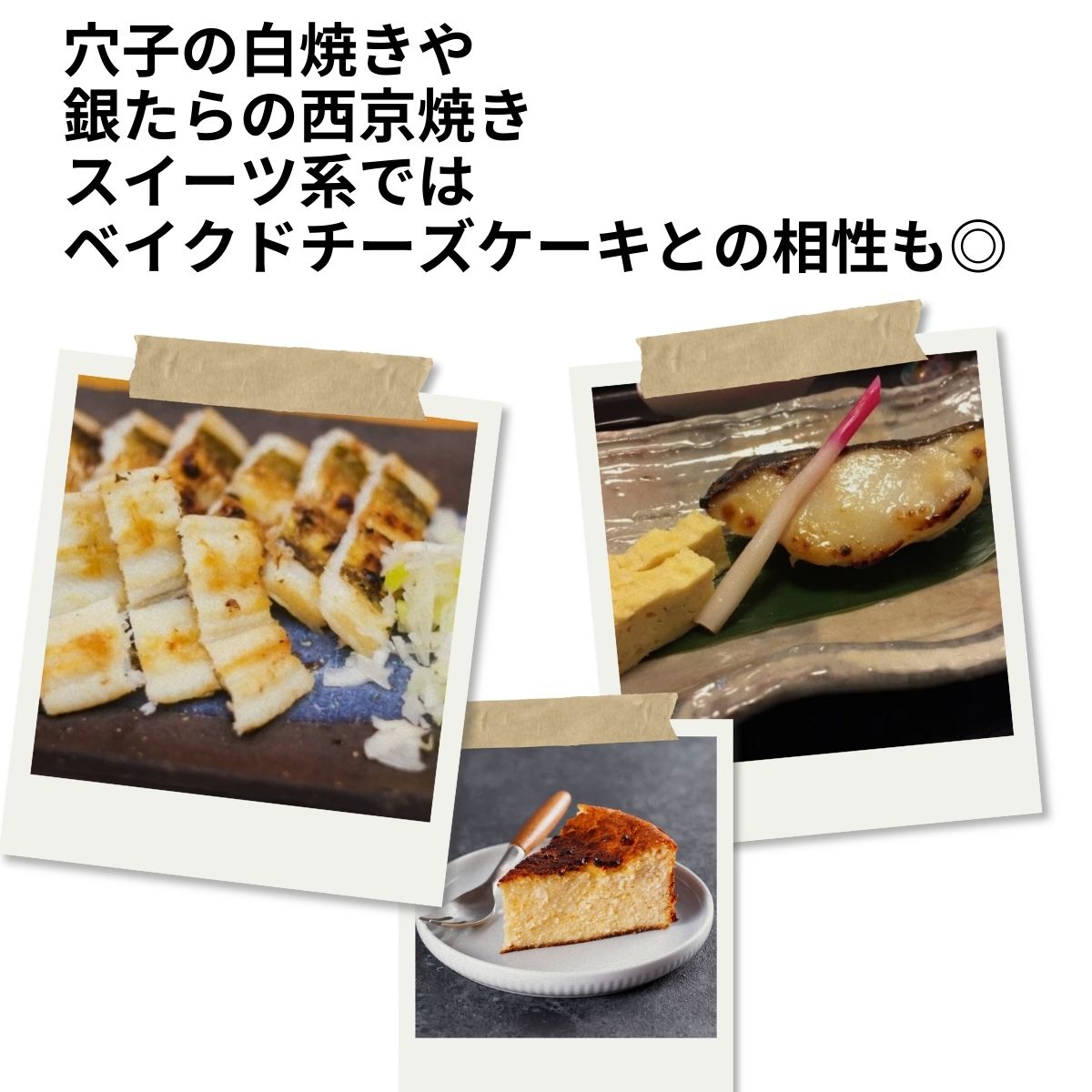 テキスト