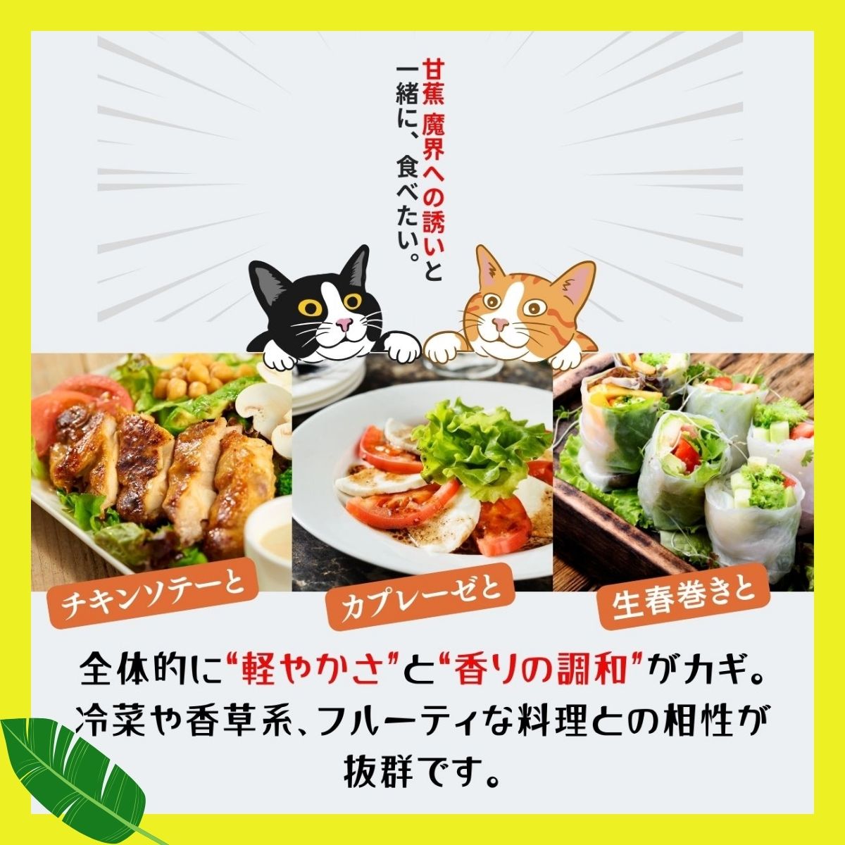 バナナの香り焼酎 甘蕉(ばなな)魔界への誘い 720ml｜香り系芋焼酎通販